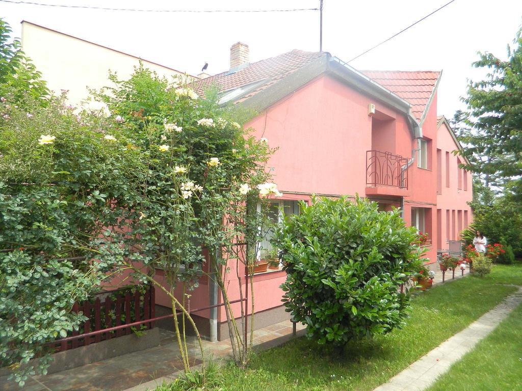 Cazare Vio Hotell Cluj-Napoca Eksteriør bilde
